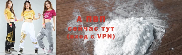 ПСИЛОЦИБИНОВЫЕ ГРИБЫ Дмитров
