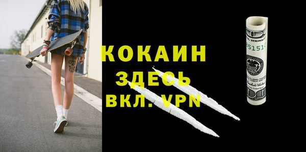 гидра Елизово
