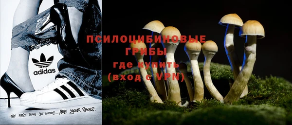 эйфоретик Дмитровск