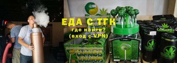 гидра Елизово