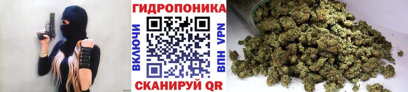 Конопля гибрид  магазин продажи   kraken как войти  Плавск 